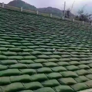 <span class=keywords><strong>Géotextile</strong></span> imperméable écologique moderne de protection de pente de berge de rivière de plage de sable de greening de pp <span class=keywords><strong>prix</strong></span> concurrentiel pour le <span class=keywords><strong>jardin</strong></span> - Product Image 5