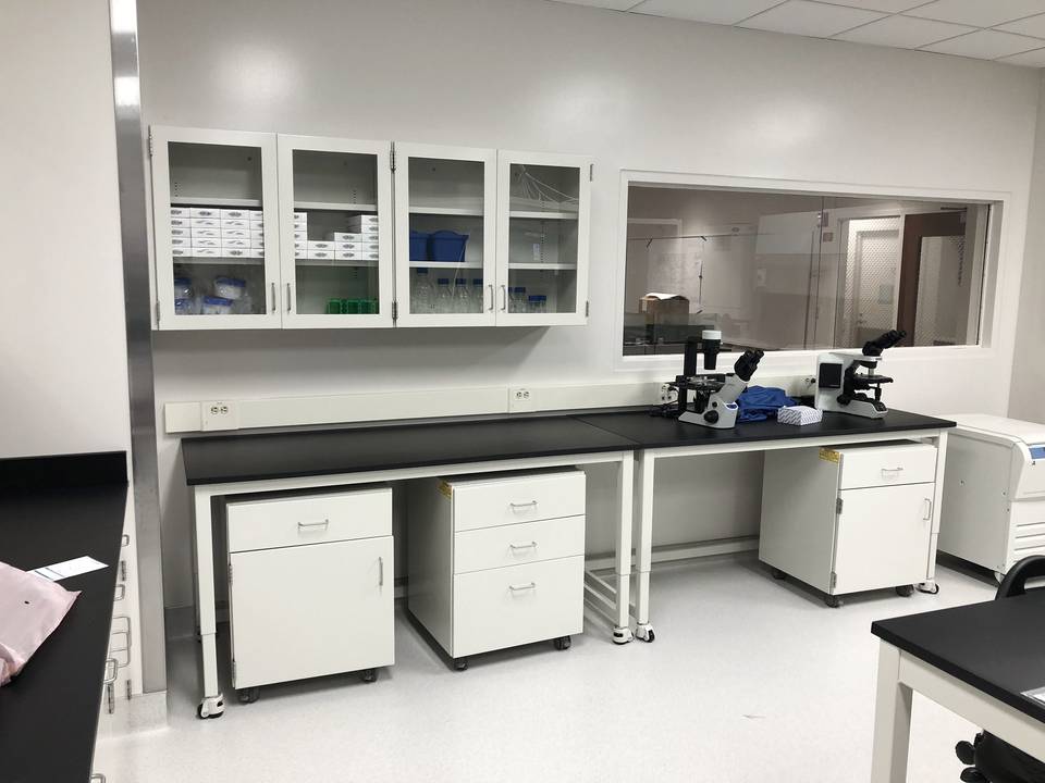 Movable Rack Laboratory Lab Work Station with Movable Cabinet & Reagent Shelf for School ...