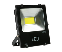 DC12V 24V 220V 110V Étanche IP65 5054 Type Led Projecteur Lampe 50w 100w 150w 200w Led Projecteur Extérieur COB Projecteur