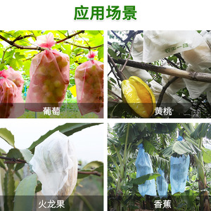 ถุงป้องกันผลไม้ ผ้าไม่ทอ กันน้ำ กันนก ระบายอากาศได้ สำหรับองุ่น ส้ม พีช พืชสวน - Product Image 1