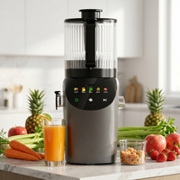 Brenda Electric Slow Pressed Juicer Komersial Mini Portabel Penggiling Buah Dapur dengan Kapasitas 3L Motor DC Ramah Lingkungan