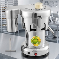 Extracteur de jus professionnel en acier inoxydable robuste 370W pour fruits et légumes