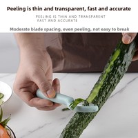 Éplucheur multifonctionnel en acier inoxydable, couteau à canne à sucre, éplucheur de fruits moderne pour la maison, éplucheur de pommes de terre, grattoir à peau