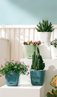 Un petit pot de fleurs en plastique de résine épaissie de chambre à coucher de bureau spécialement conçu pour les cactus et les plantes succulentes