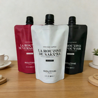 Sac à bec verseur liquide de qualité alimentaire personnalisé, sac en plastique réutilisable de 100 ml, emballage de poche à bec verseur pour savon liquide lavé à la main