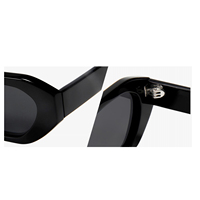 2025 plus récent luxe personnalité rétro petit cadre lunettes de soleil irrégulières à la mode et hip-hop concave forme acétate lunettes de soleil
