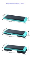 Plataforma de Step Aeróbico de 72 cm de Material PP al por Mayor con 4 Niveles Ajustables para Uso en el Hogar y Centros de Fitness