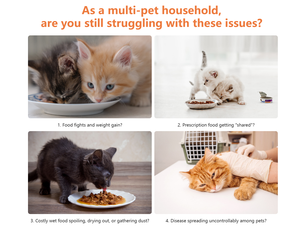 יישום מזין חיות מחמד חכם-נשלט עם זיהוי חיישן אוטומטי קערות פלסטיק מסוגנן - Product Image 4