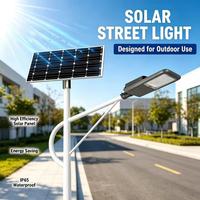 Lampu Jalan Tenaga Surya LED Terpisah dengan Sensor Gerak Cerdas, Panel Surya Mono-si, dan Baterai Lifepo4