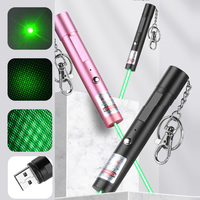 Penunjuk Laser Pena Cahaya Laser Pengisian Daya USB Hijau Murah Penunjuk Laser Hijau