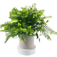 Décoration de Salon, Bureau, Entrée ou Cave à Vin : Petite Plante en Pot Artificielle