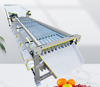 Nieuwe Navel Sinaasappel Fruit Selectie- en Sorteermachine Betelnoot Zeefmachine Kersentomaat Passievrucht Sorteermachine Gouden Mandarijn TW