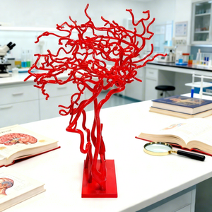 Модель кровеносных сосудов головного мозга человека, красная, 3D, анатомическая, модель мозговой артерии, сонной артерии для медицинского обучения, с CE и ISO - Product Image 5