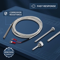 Sonde de température industrielle haute précision à thermocouple, 3 fils, en acier inoxydable, résolution 0,1°C, ODM OEM MS