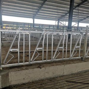 Nouvel équipement d'élevage de bovins laitiers en acier vache tête de verrouillage panneau d'élevage pince de cou de taureau accessoires de cou de boeuf <span class=keywords><strong>pour</strong></span> l'élevage - Product Image 1