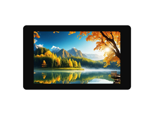 4-DSI-TOUCH-A 4/4.3 นิ้ว DSI จอแสดงผลแบบสัมผัสแบบคาปาซิทีฟ 480*800 จอแสดงผล IPS 5 จุดการเชื่อมต่อแบบออปติคอล กระจกแกร่ง K537 - Product Image 3
