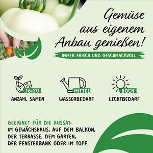 Ensemble de <span class=keywords><strong>tomates</strong></span> 16 x 10 cueillies à la main, 100% naturelles, <span class=keywords><strong>anciennes</strong></span> <span class=keywords><strong>variétés</strong></span> du Portugal, fournitures de jardin rares - Product Image 4