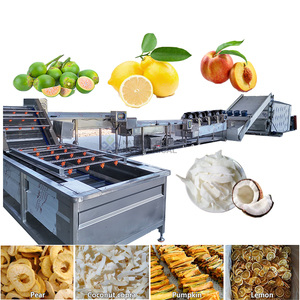 Secador de Banda Continua para Nuez de Areca, Supari, Nuez de <span class=keywords><strong>Betel</strong></span> y Coco - Deshidratador - Product Image 1
