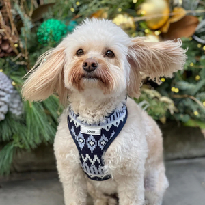 VPETBR-Arnés ajustable de neopreno personalizable para mascotas, conjunto de arnés de Cuello acolchado suave para mascotas - Product Image 4