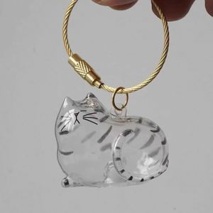 Caja de Almacenamiento Transparente de Plástico para Pelo de Gato, Colgante Llavero para Pelo de Mascota como Bolsa de Colección Conmemorativa con Colgante Llavero - Product Image 4