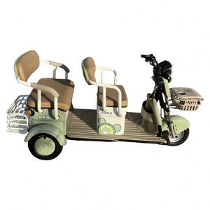 The New Listing 48V Electrically Operated Tricycle Trike Laguna From China - Product Image 3