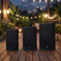 Enceinte active professionnelle Thinuna série T-DPA avec DSP, 10'', 12'', 15'', Classe D 550W, moniteur de scène amplifié pour club