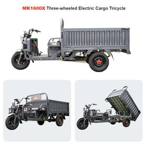 Promotion motorisé électrique Cargo Tricycle pour adultes 3 roues moto Tricycles vélo 1000w véhicules - Product Image 4
