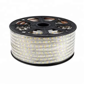 להגמיש AC120V 220V 230V 100M חיצוני גמיש 2835 5050 SMD RGB עמיד למים IP65 PVC רצועת אור