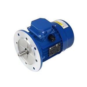 มอเตอร์แบบอะซิงโครนัส Lonne รุ่น 7AA80M04K กำลังไฟ 0.55 กิโลวัตต์ 2/4 โวลต์ แบบติดตั้งขา B14 - Product Image 3