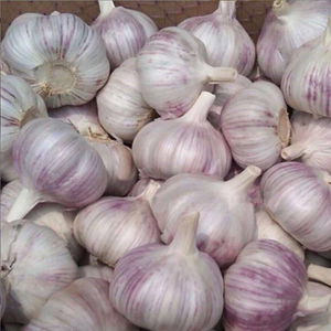 Exportation de l'ail congelé neuf cueilli de quatre à six gousses HACCP BRC IQF 4-6 gousses d'ail congelées - Product Image 4