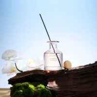 Diffuseur de parfum d'ambiance haut de gamme nordique minimaliste 120 ml sans BPA, sans alcool, en verre, avec bâtonnets naturels, longue durée, pour maison et hôtel
