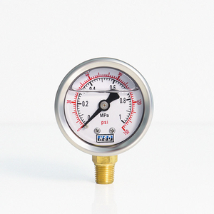 Manomètre à vide étanche, boîtier métallique rond, manomètre analogique, plage 0-600 bars, personnalisation OEM/ODM disponible - Product Image 1