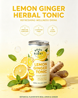 Boisson gazeuse faible en sucre, saveur citron gingembre miel, jus de fruits, marque privée OEM pour usine de boissons, saine et bienfaisante