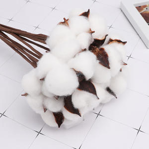 Boules <span class=keywords><strong>de</strong></span> <span class=keywords><strong>coton</strong></span> séchées naturelles d'intérieur DIY <span class=keywords><strong>tige</strong></span> unique décor <span class=keywords><strong>de</strong></span> fleurs branche florale couleur blanche tiges <span class=keywords><strong>de</strong></span> <span class=keywords><strong>coton</strong></span> naturel séché fleur - Product Image 3