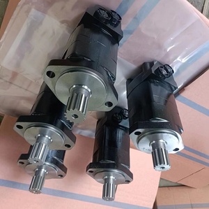 109-1544-006 109-1689-006 Remplacer le moteur hydraulique 109-1264-006 - Product Image 5