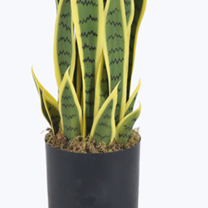 Plante artificielle Serpent d'Inde en pot 70cm à bords jaunes Décoration intérieure Salon Plante verte de bureau - Product Image 4