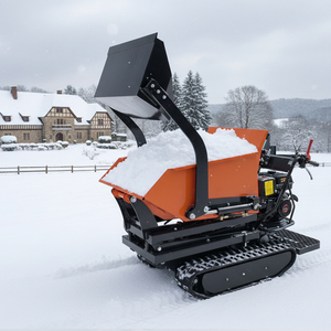 Brouette motorisée Petite ferme chinoise agricole pour le nettoyage de la ville Moteur Mini Dumper - Product Image 6