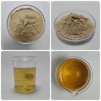 Hot verkopende meidoornvrucht extract poeder 80% meidoornflavonen 10:1 20:1 leverancier planten meidoornbes