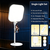 Lampe de bureau carrée à LED pour éclairage d'appoint, lumière douce pour diffusion en direct avec support de téléphone, pour enregistrement vidéo beauté, maquillage et photographie