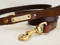 Produits pour animaux de compagnie En Nylon Laisse De Collier De Chien En Cuir Ensemble Avec Emballage De Boîte Personnalisée VRS-0040
