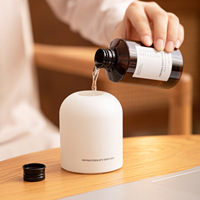 Diffuseur à bâtonnets d'arômes, Ensemble de diffuseurs à bâtonnets parfumés, Diffuseurs d'arômes pour voiture, Diffuseurs d'arômes pour hôtel, Diffuseurs d'huiles aromatiques