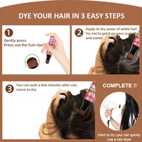Marque privée Portable temporaire coloration des cheveux colorant brosse correcteur dentelle teinte cheveux colorant stylo