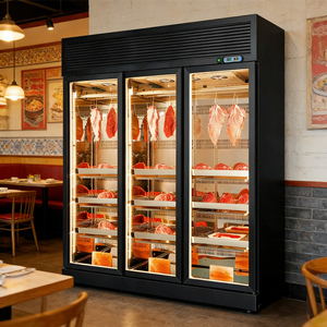 Armoire de maturation numérique intelligente Bindoes pour viande, réfrigérateur de maturation de viande homologué CE, idéal pour les restaurants gastronomiques et boucheries, réfrigérateur spécial - Product Image 2