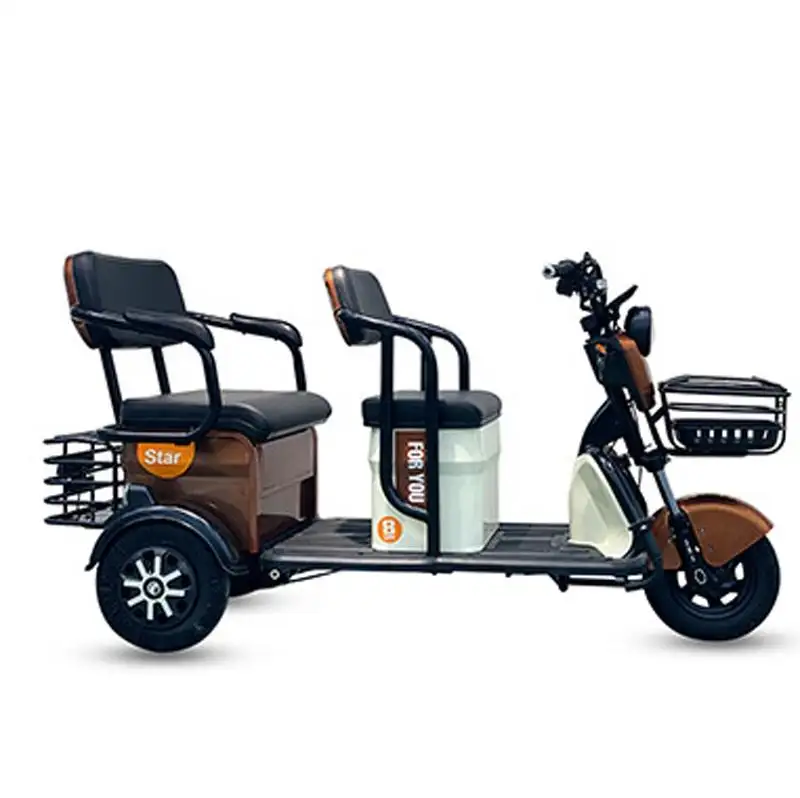 Wholesale hot sale 3 Wheel Electric Bike 600W Family Use Vintage Cargo Vacuum tire aluminum alloy Electric Tricycle For Adults