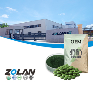 Comprimés Offre Spéciale Spiruline Biologique Supplément En Vrac Mixte Spiruline Chlorella Comprimé Nutritionnel pour Hommes Femmes - Product Image 1