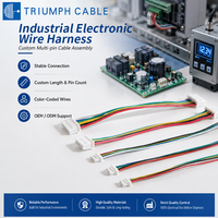 Kabel Terminal Baterai Lithium Molex JST SH1.0/MX1.25/PH2.0/XH2.54mm 7p 6p 5p 4p 3PIN Male, Kawat Tembaga Berlapis Timah, Kabel Harness Listrik