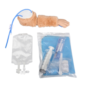 Modelo de entrenamiento para inyecciones IV en patas caninas, simulador realista de venopunción en patas de perro con venas reemplazables - Product Image 5