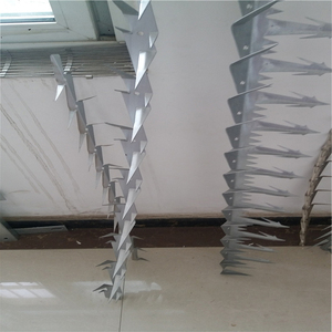 Precio bajo, techo de ventana profesional, barrera de pájaros Flexible física, acero inoxidable, sin <span class=keywords><strong>matar</strong></span> palomas, picos duraderos para pájaros - Product Image 5