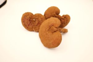 Nấm khô nấm cây trồng mới khung Lingzhi tươi - Product Image 3