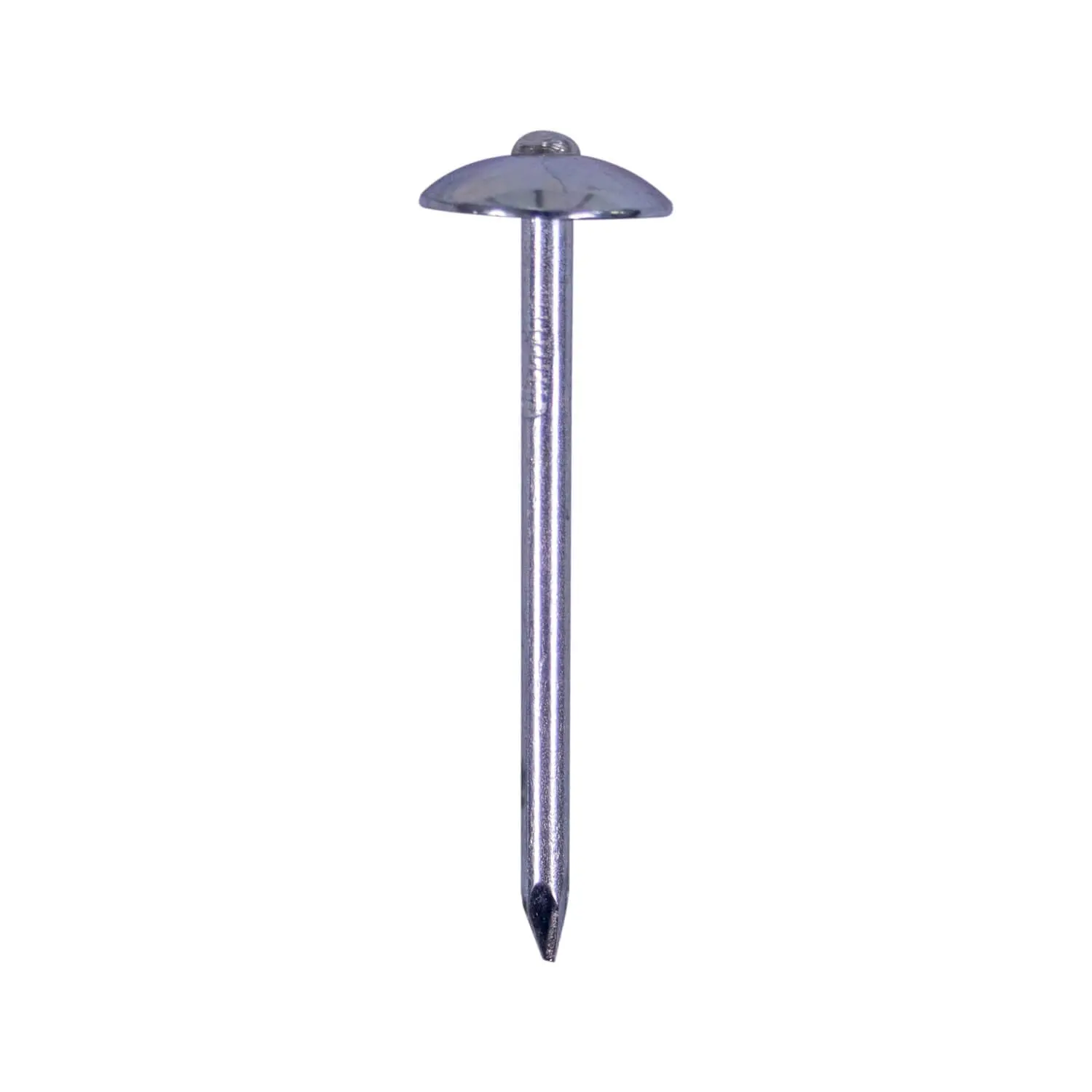 Cabeça de guarda-chuva galvanizada bwg9, 2.5 polegadas, unhas de cobertura